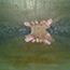 image20